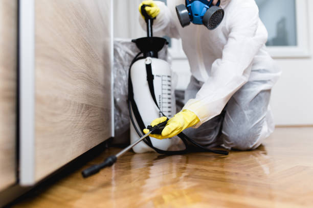 Best Wildlife Control Services  in Aurora, SD