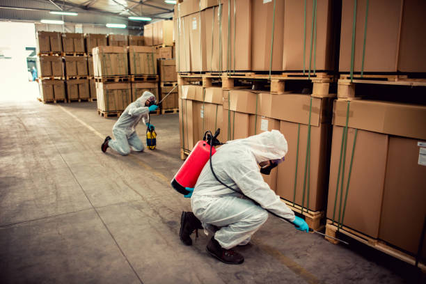 Best Wildlife Control Services  in Aurora, SD
