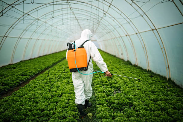 Best Best Pest Control Companies  in Aurora, SD