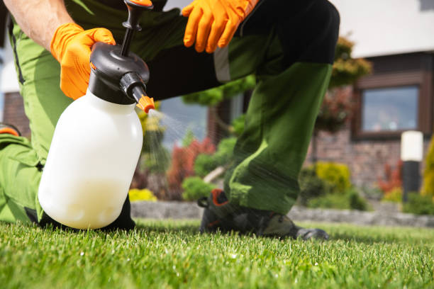 Best Exterminator Services  in Aurora, SD