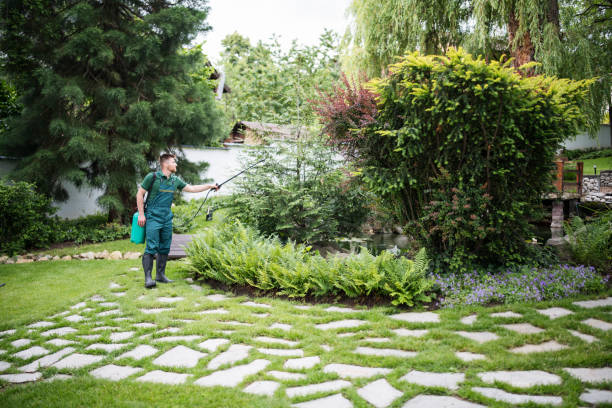 Pest Prevention Services in Aurora, SD