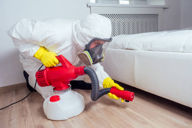 Best Mosquito Control Services  in Aurora, SD
