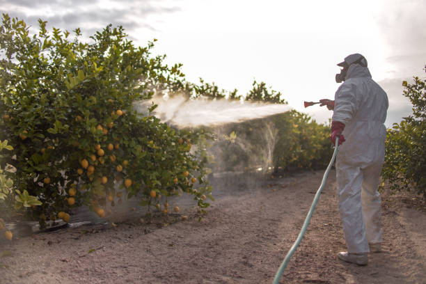 Best Affordable Pest Control Services  in Aurora, SD