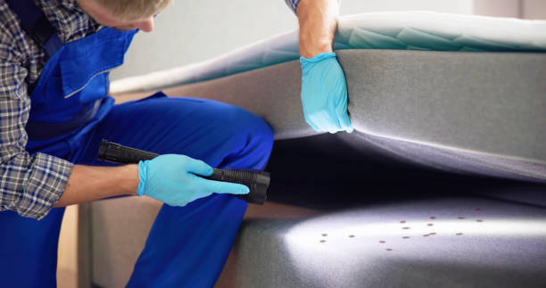 Best Termite Control Services  in Aurora, SD