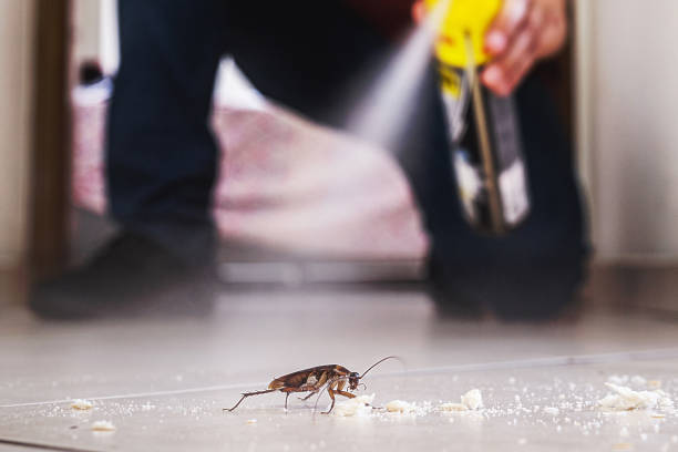 Flea Control Services in Aurora, SD