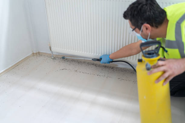 Best Residential Pest Control  in Aurora, SD