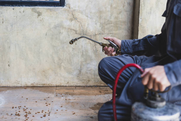Best Wasp Removal Services  in Aurora, SD